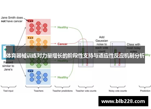 体育器械训练对力量增长的阶段性支持与适应性反应机制分析