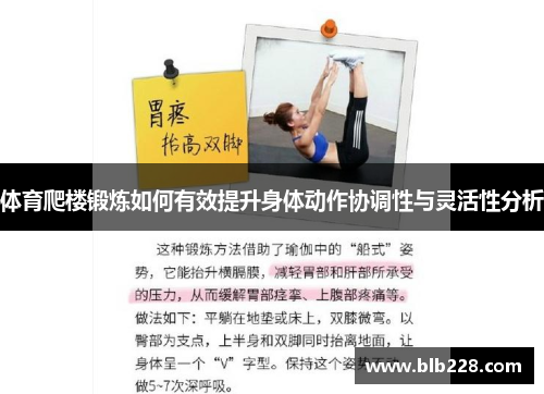 体育爬楼锻炼如何有效提升身体动作协调性与灵活性分析